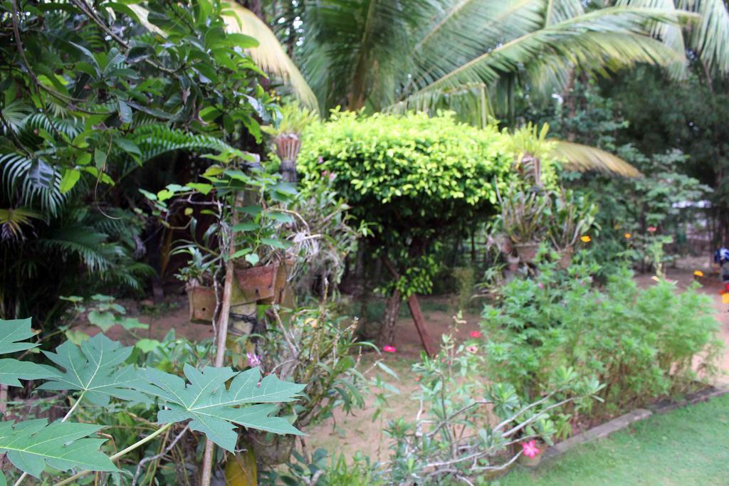Anura Home Stay Kalutara Exteriör bild